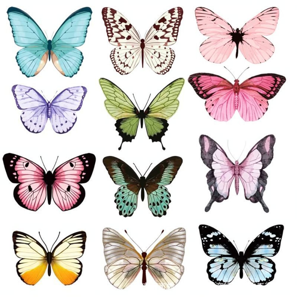 Artificial Butterfly PVC Wall  - đánh giá và giá Art And Craft For Nursery